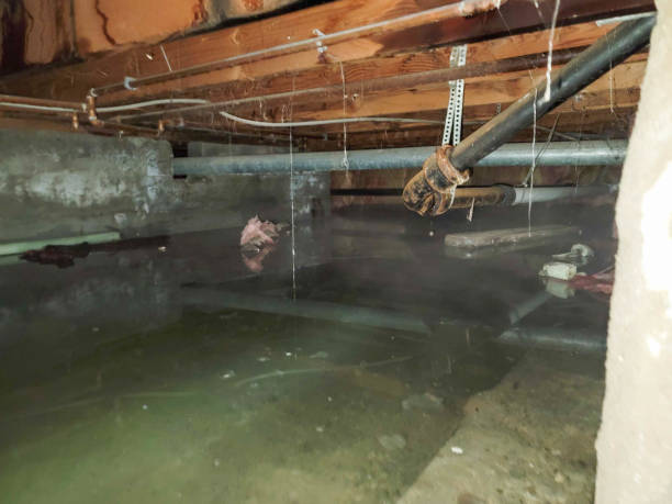 Best Water damage contractors near me  in Wetherington, OH