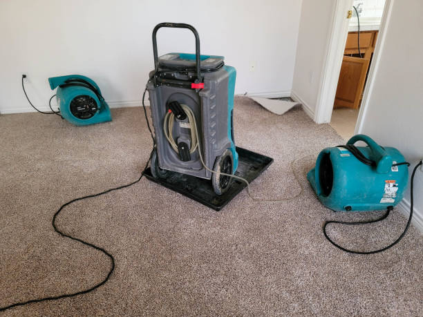Best Sewage cleanup and water damage restoration  in Wetherington, OH