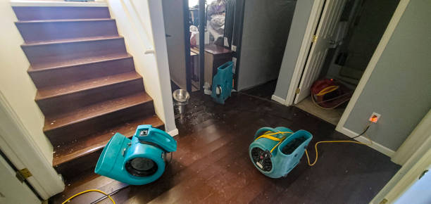 Best Flood damage cleanup  in Wetherington, OH