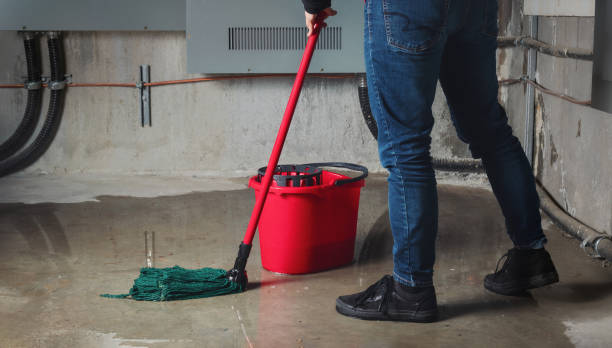 Best 24-hour water damage restoration  in Wetherington, OH
