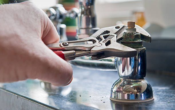 Best Professional water damage repair  in Wetherington, OH