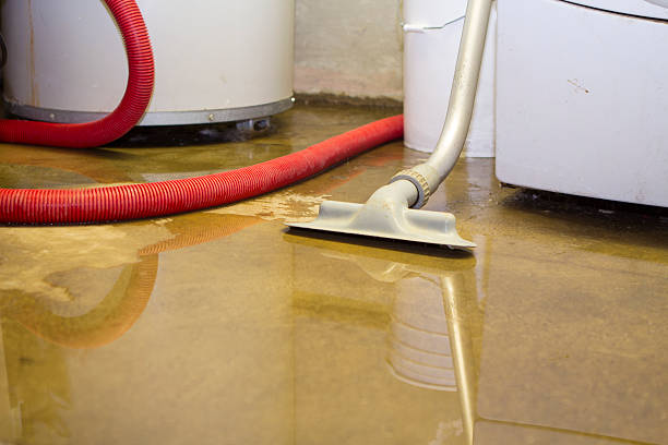 Best Water damage contractors near me  in Wetherington, OH