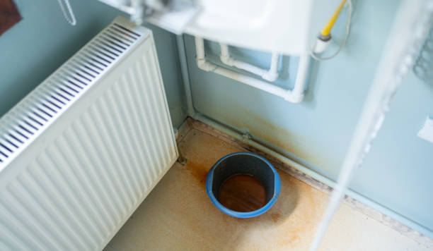 Best Carpet water damage restoration  in Wetherington, OH