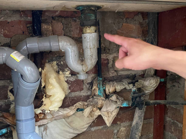 Best Water damage restoration company  in Wetherington, OH