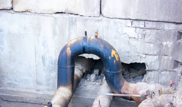 Best Carpet water damage restoration  in Wetherington, OH