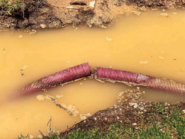 Best Mold removal after water damage  in Wetherington, OH