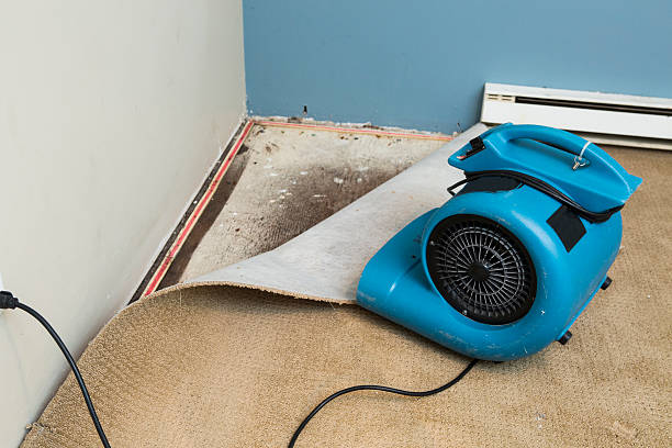 Best Water damage cleanup near me  in Wetherington, OH